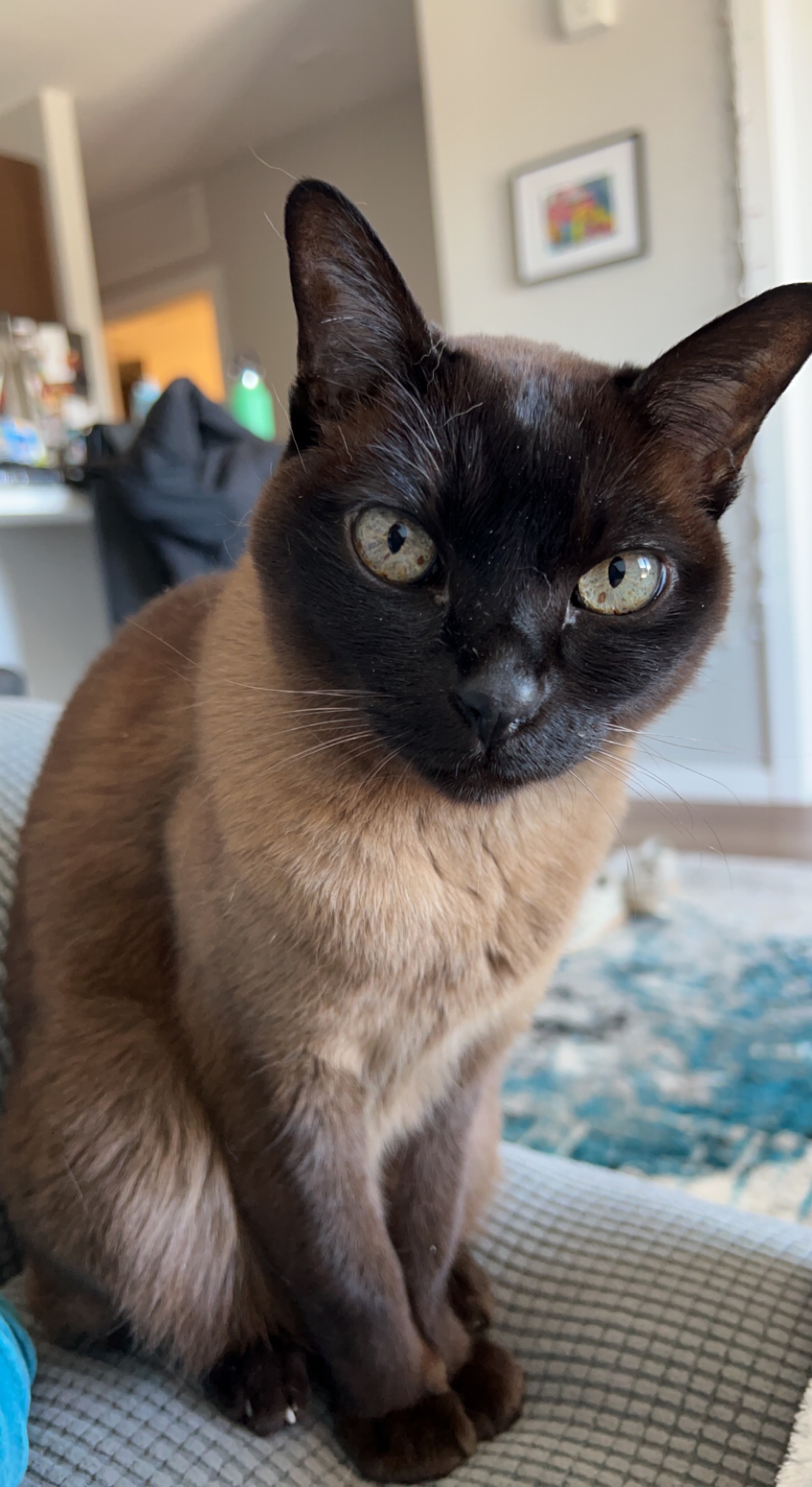Luna, resident artist and creative director, holding court in the Seattle studio.